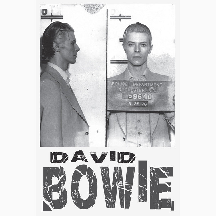 PC0010 David Bowie Mug-Shot 1976 Postcard