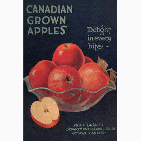 CCT0049 Canadian Grown Apple Recipe Booklet Cover 1924 Postcard