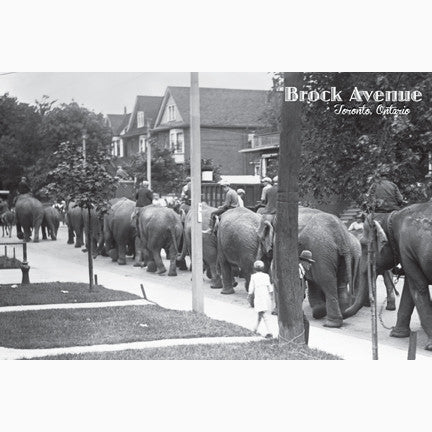 CCT0130 Parade of Circus Elephants Brock Avenue Toronto c1920 Postcard