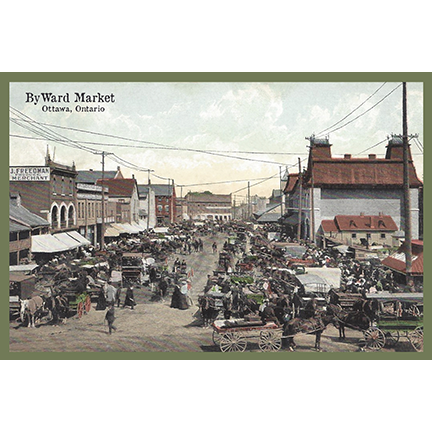 CCT0202 ByWard Market c1908 Ottawa Ontario Postcard