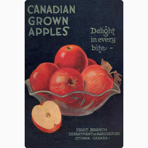 CCTM0049 Canadian Grown Apples 1924 Magnet